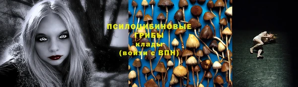 винт Алзамай