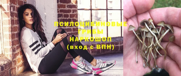 винт Алзамай